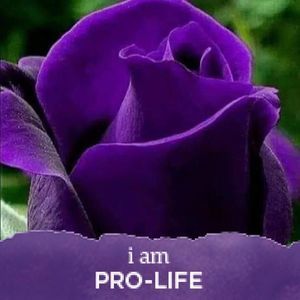 Meet your Posher, Mona